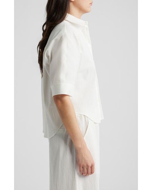 Bernardo Gray Texture Dolman Shirt