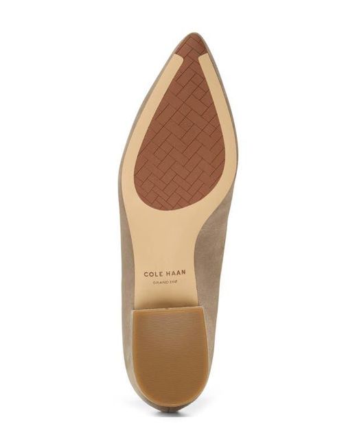 Cole Haan Natural Valentina Pointed Toe Loafer