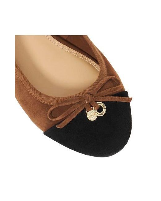 Dune Brown Harpington Cap Toe Ballet Flat
