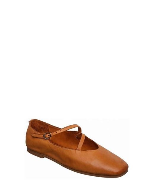 Antelope Brown Lorelei Ballet Flat