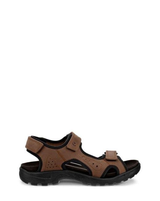 Ecco Brown Hike Sandal for men