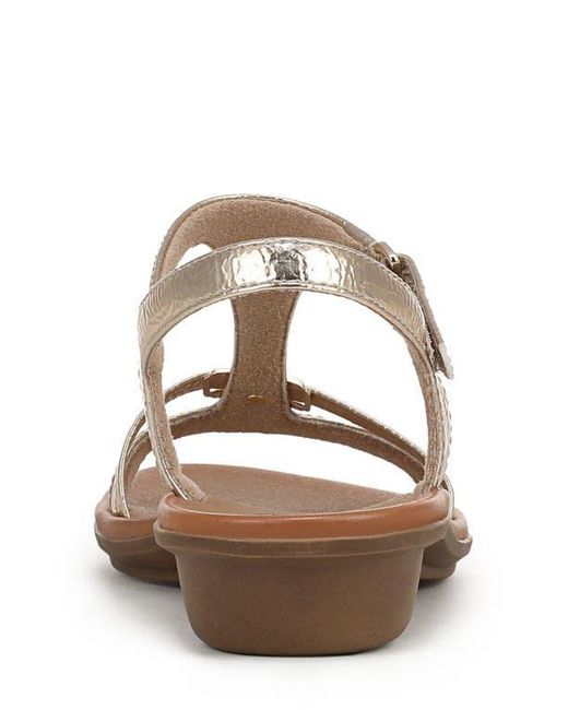 Naturalizer Brown Sofia Sandal