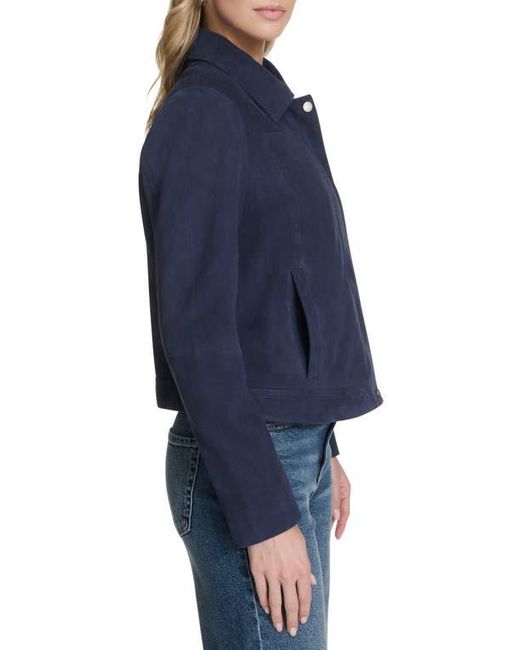 Cole Haan Blue Suede Jacket