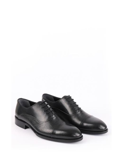 VELLAPAIS Gray Malone Derby for men