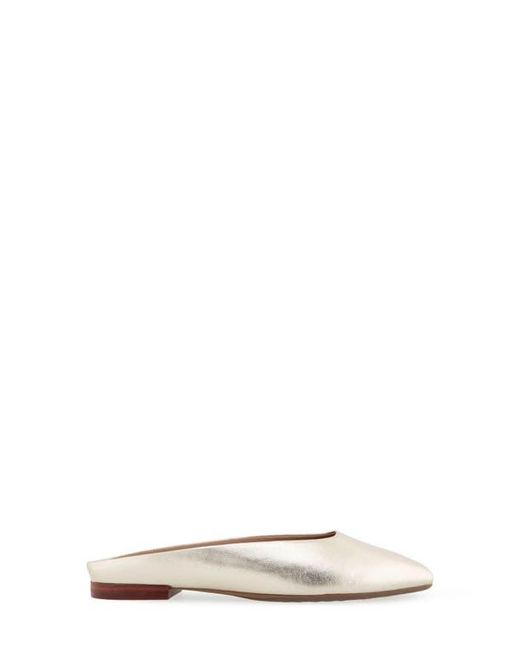 Aerosoles Multicolor Amara Mule