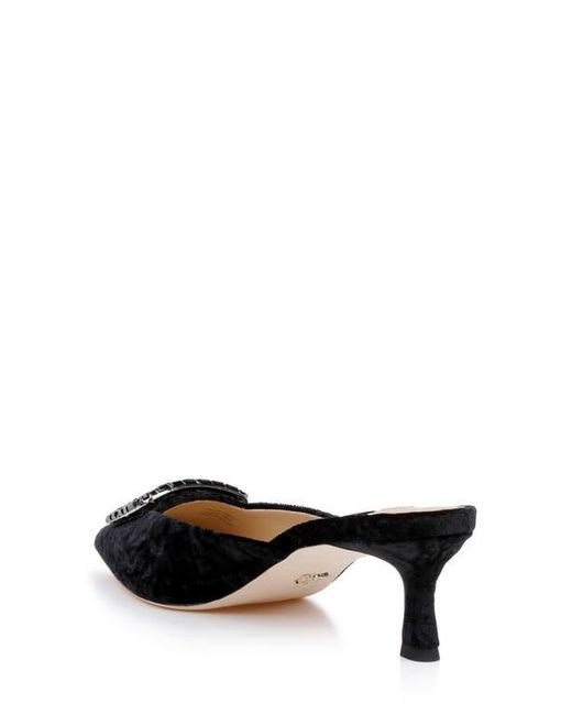 Badgley Mischka Black Abigayl Pointed Toe Mule