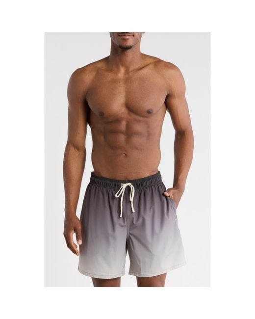 Rainforest Purple Ombrè Swim Trunks for men