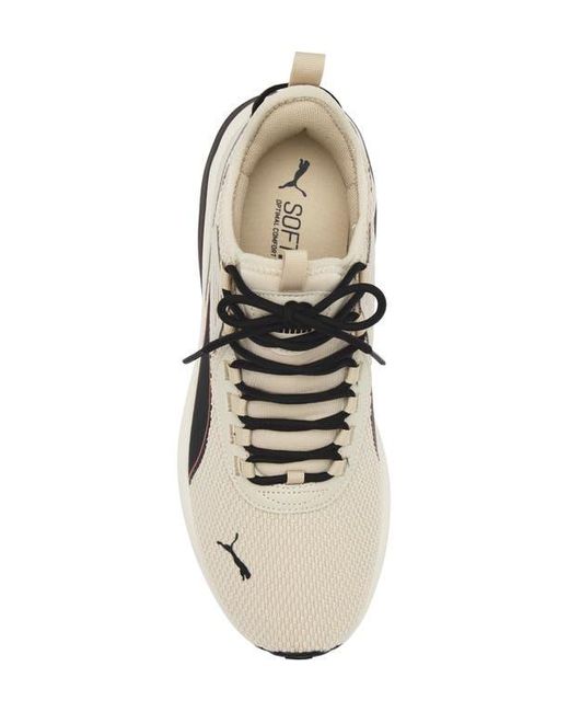 PUMA White Amplifier Knit Sneaker for men