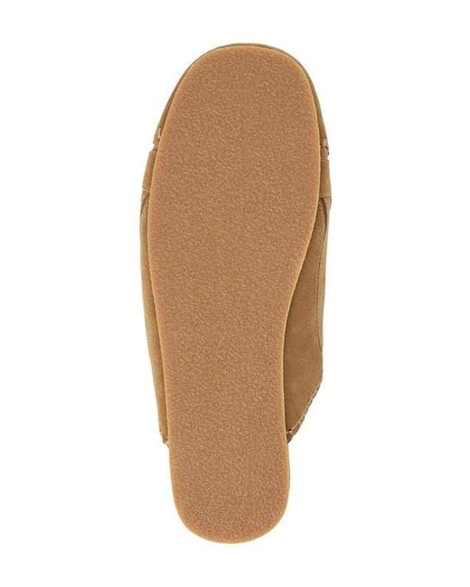 Matisse Brown Devyl Lace-Up Mule