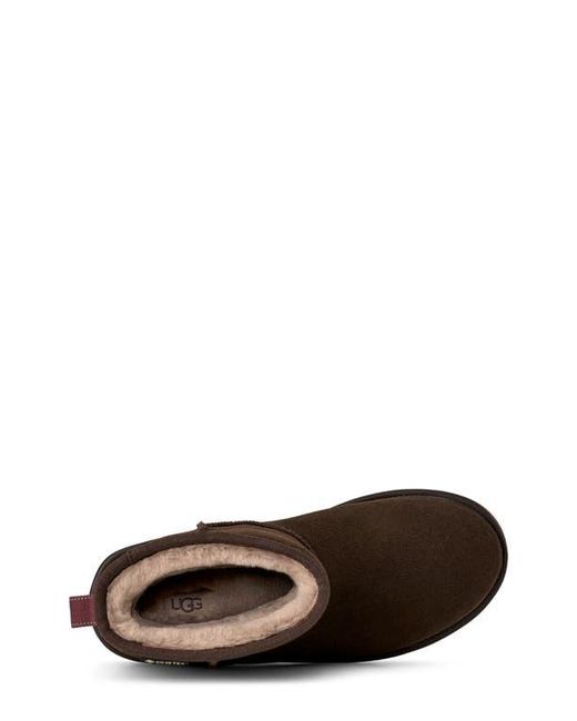 Ugg Brown Mini Gore-Tex Waterproof Boot for men