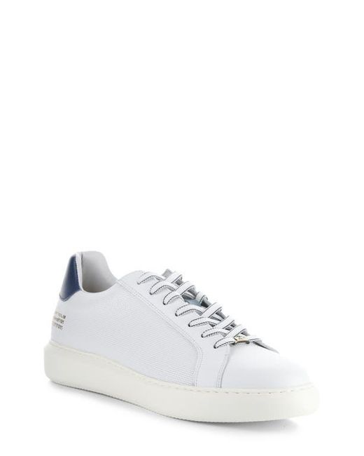 Ambitious White 10634A Low Top Sneaker for men
