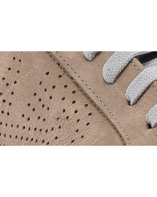 P448 Multicolor Soho Sneaker for men
