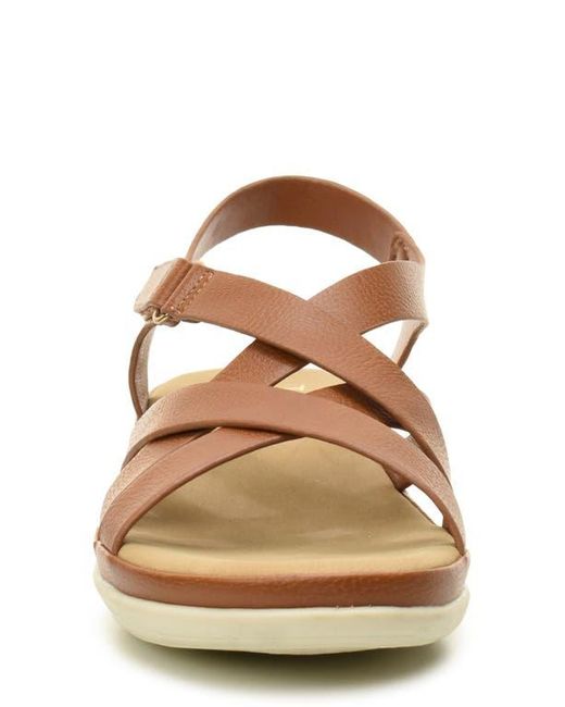 Taryn Rose Brown Lasercut Slide Sandal