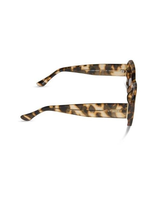 DIFF Brown Katie 52Mm Gradient Rectangle Sunglasses