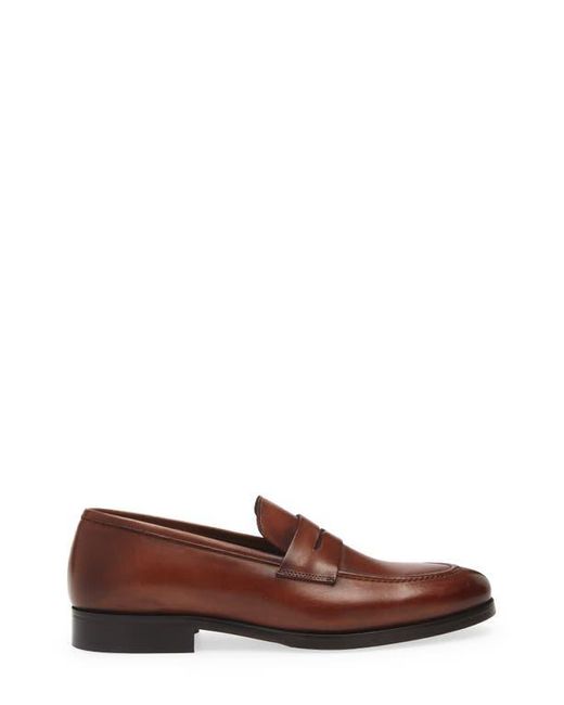 Bruno Magli Brown Nolan Penny Loafer for men