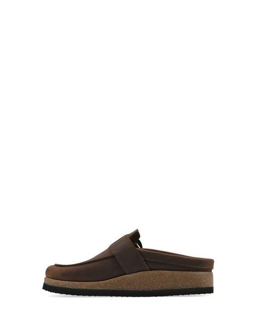 White Mountain Brown Bueno Mule
