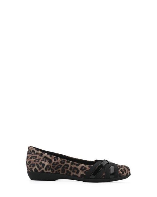 White Mountain Black Chic Flat