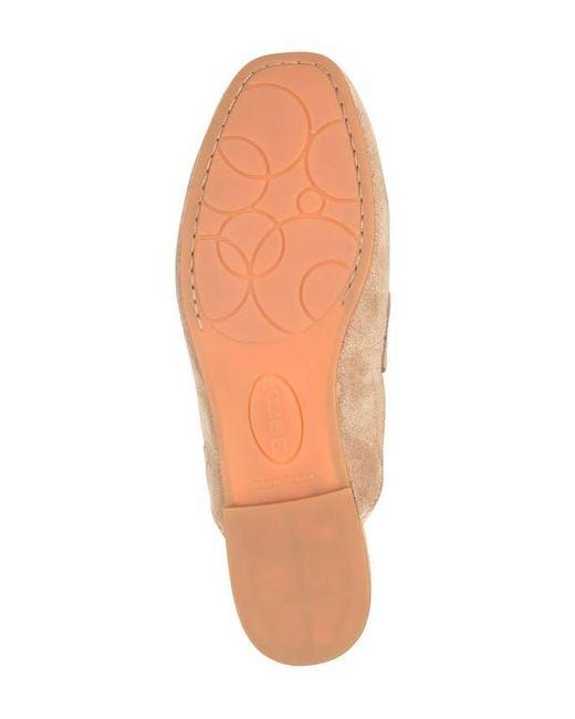 Børn Brown Ashlin Mule