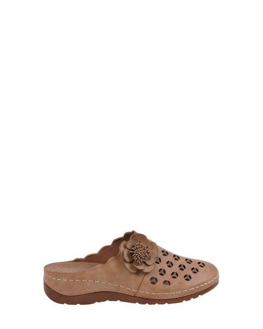 Gc Shoes Brown Marisol Clog