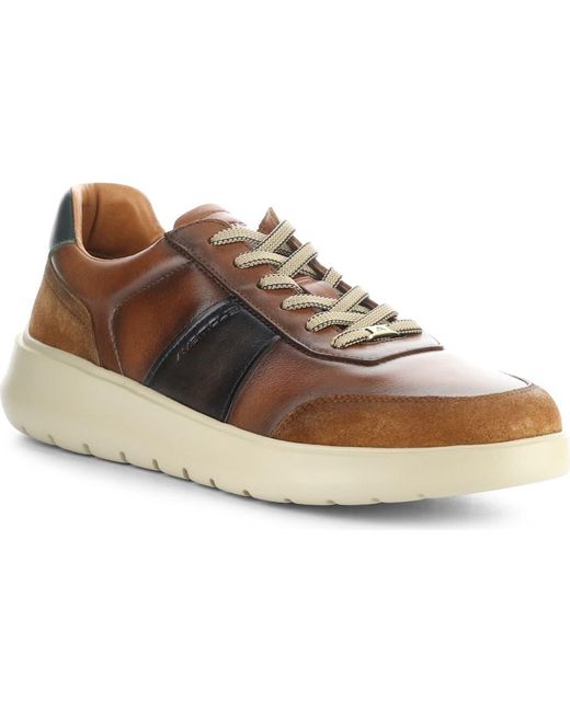 Ambitious Brown 12981B Low Top Sneaker for men