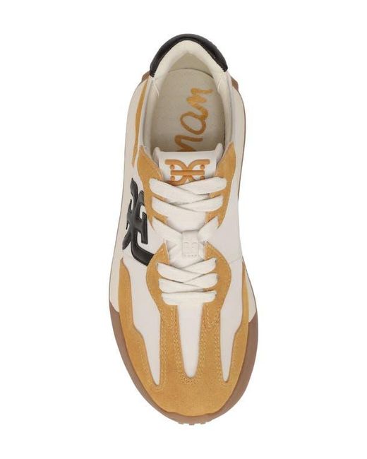 Sam Edelman Multicolor Langley Sneaker