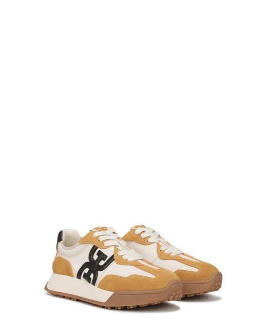 Sam Edelman Multicolor Langley Sneaker