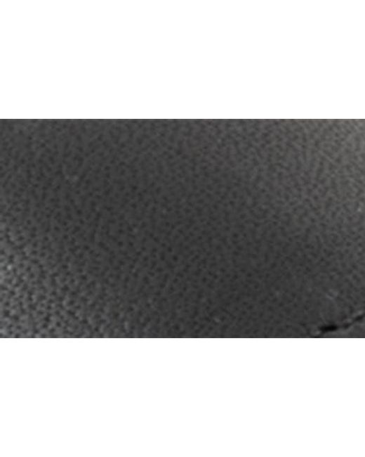 Softwalk® Black Tracy Slingback Sandal