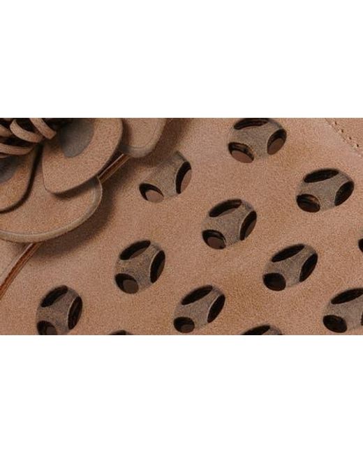 Gc Shoes Brown Marisol Clog