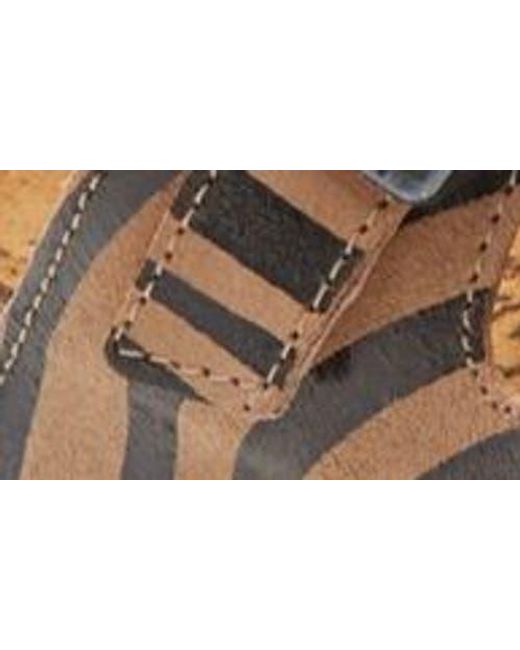 Naot Brown Austin Water Repellent Slide Sandal