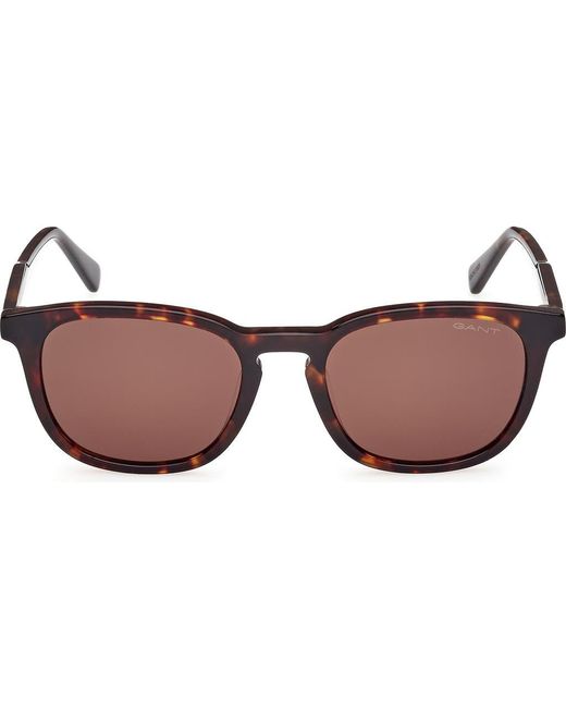 Gant Brown Keyhole Sunglasses for men