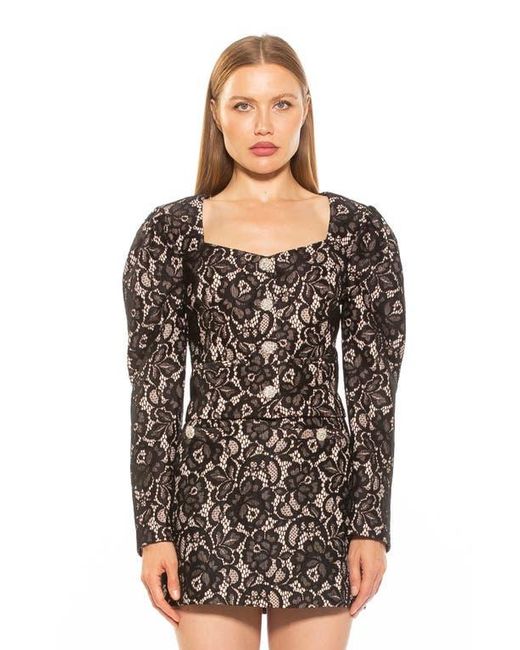 Alexia Admor Black Rowan Lace Jacket