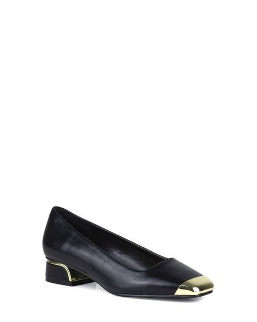 Ninety Union Blue Eagle Tipped Square Toe Pump