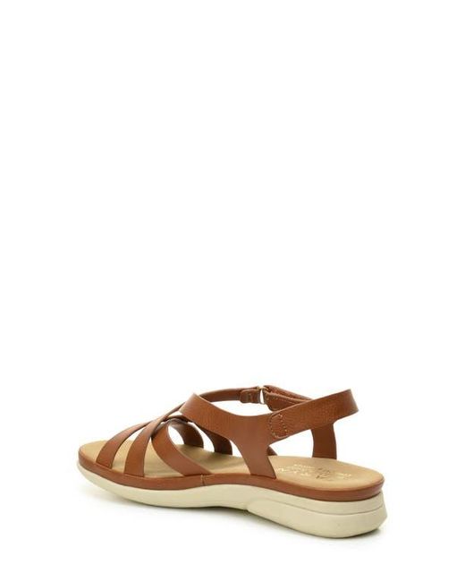 Taryn Rose Brown Lasercut Slide Sandal