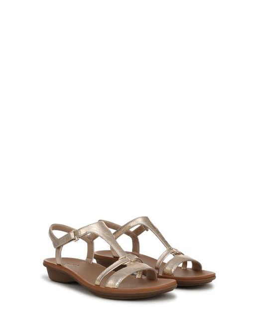 Naturalizer Brown Sofia Sandal
