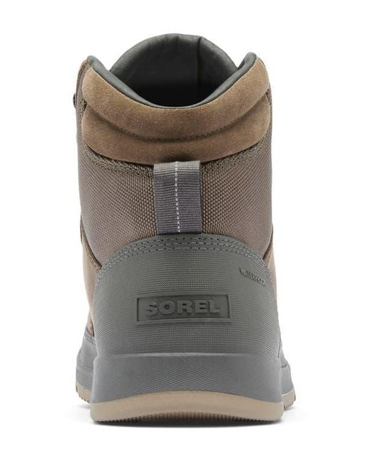 Sorel Brown Ankeny Ii Waterproof Hiking Boot for men