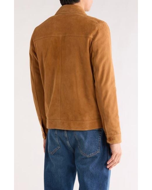 Bugatchi Brown Suede Trucker Jacket for men