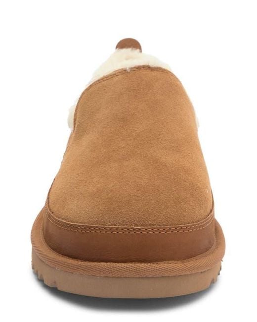 Ugg Brown Leisure Nomad Slipper for men