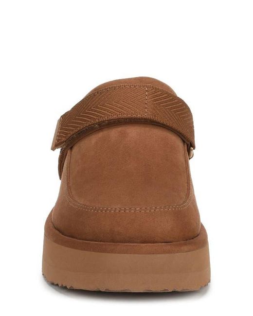 Dr. Scholls Brown Chill Time Clog