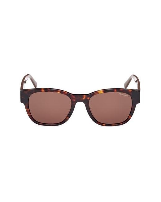 Gant Brown Square Sunglasses for men