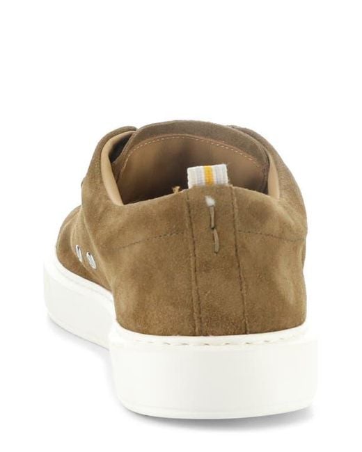 Ambitious Brown 13797 Low Top Sneaker for men