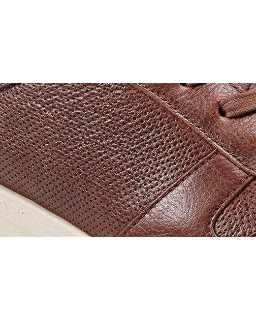 Rockport Brown X Dmx Colby Sneaker for men