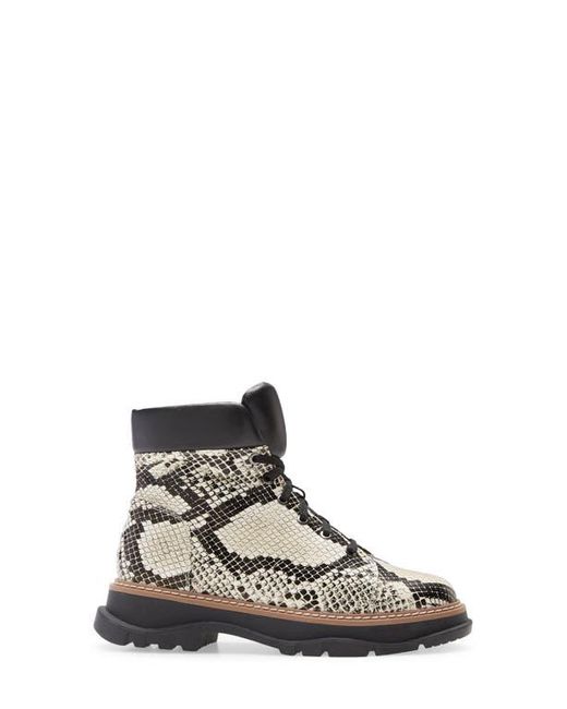 Linea Paolo Multicolor Boca Lace-Up Boot