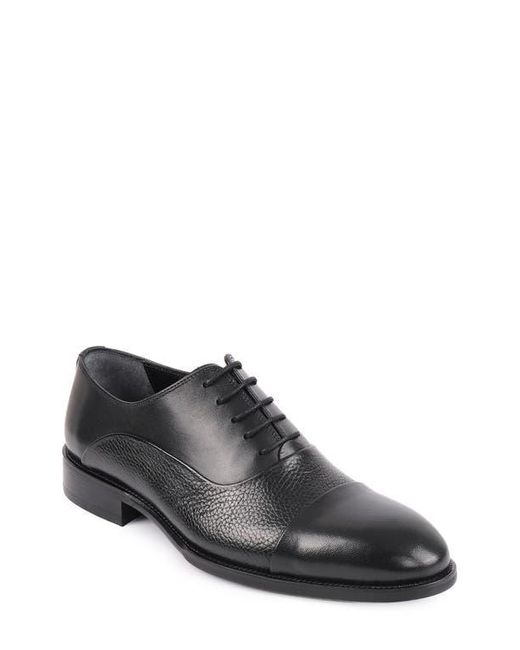 VELLAPAIS Gray Malone Derby for men
