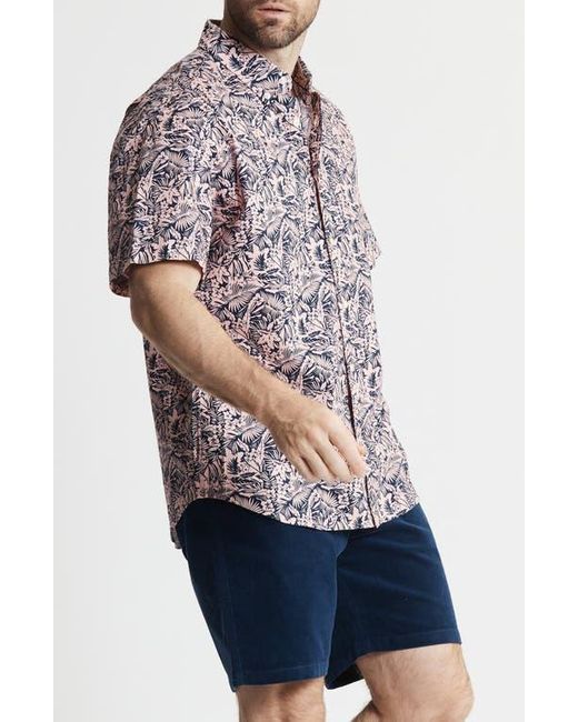 Jachs New York Multicolor Bay Stretch Oxford Short Sleeve Shirt for men