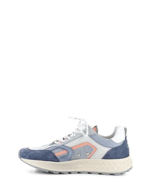 Ambitious White 13320 Colorblock Sneaker for men
