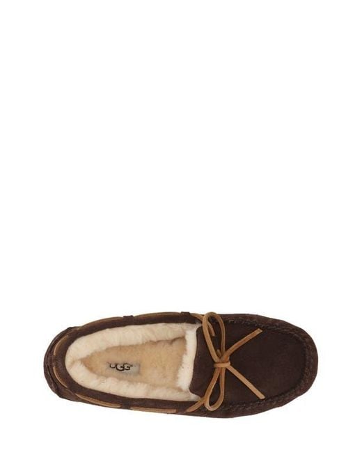 Ugg Brown Olsen Slipper for men