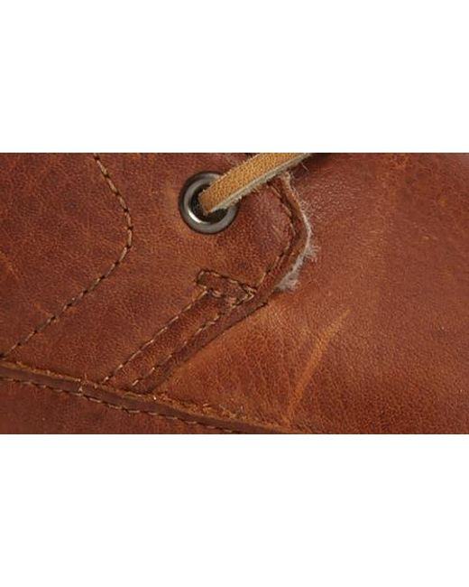 Blackstone Brown 'Cw96' Genuine Shearling Lined Sneaker Boot