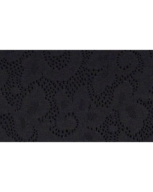 Tc Fine Intimates Black Assorted 3-Pack Lace Hipster Briefs