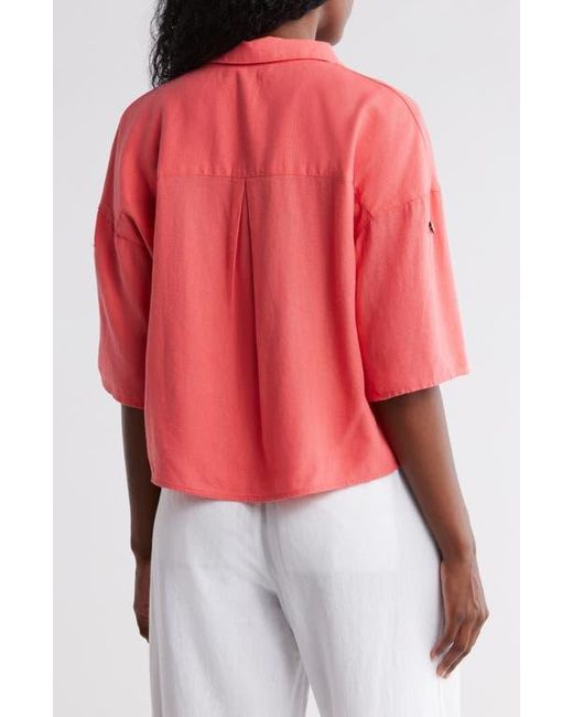 Ellen Tracy Pink Boxy Short Sleeve Crop Button-Up Shirt
