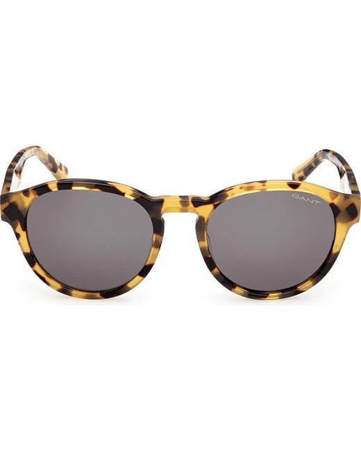 Gant Brown Round Sunglasses for men